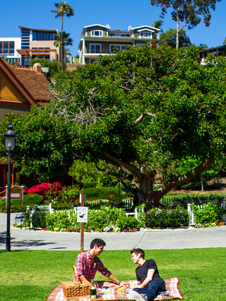 Picnic With the Crush