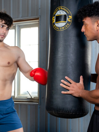 Sparring Partner by The Bro Network