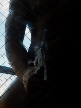 Bird Cage solo by YoshiKawasakiXXX